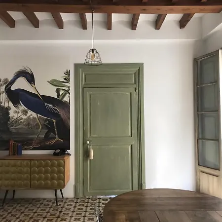Homestay Ribellino - Dog Admiral Urban