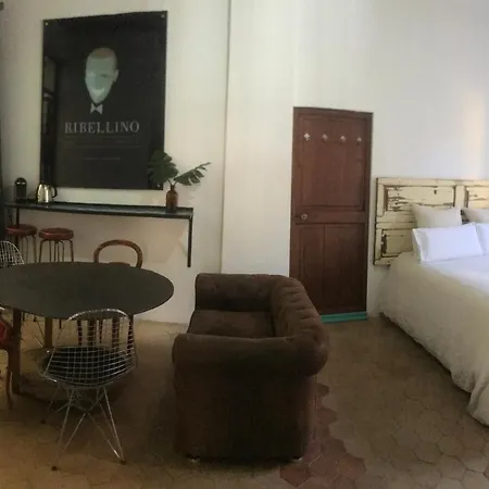 Ribellino - Dog Admiral Urban Homestay