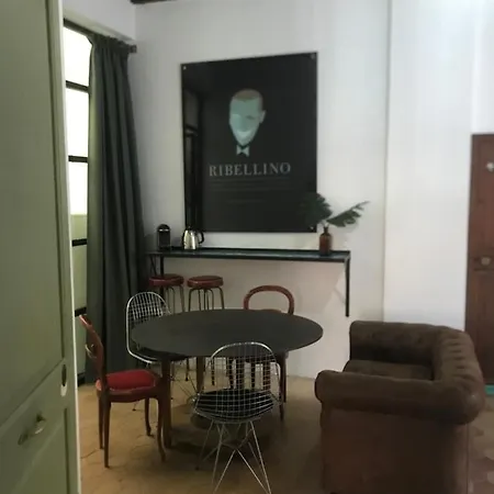 Ribellino - Dog Admiral Urban Palma de Mallorca